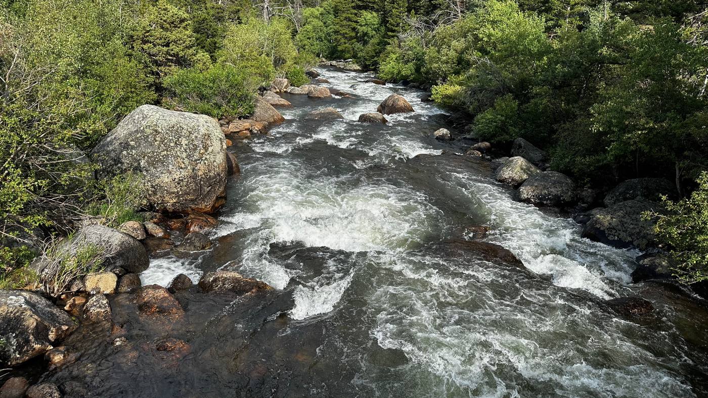 A creek running fast over granite boulders through conifer forest.